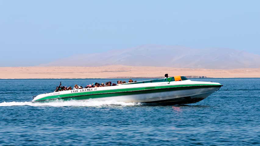 ballestas islands speedboat tour paracas